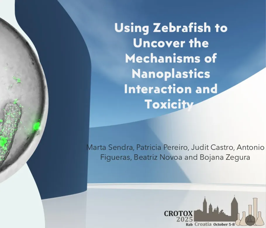 CROTOX 2025 presentation slide